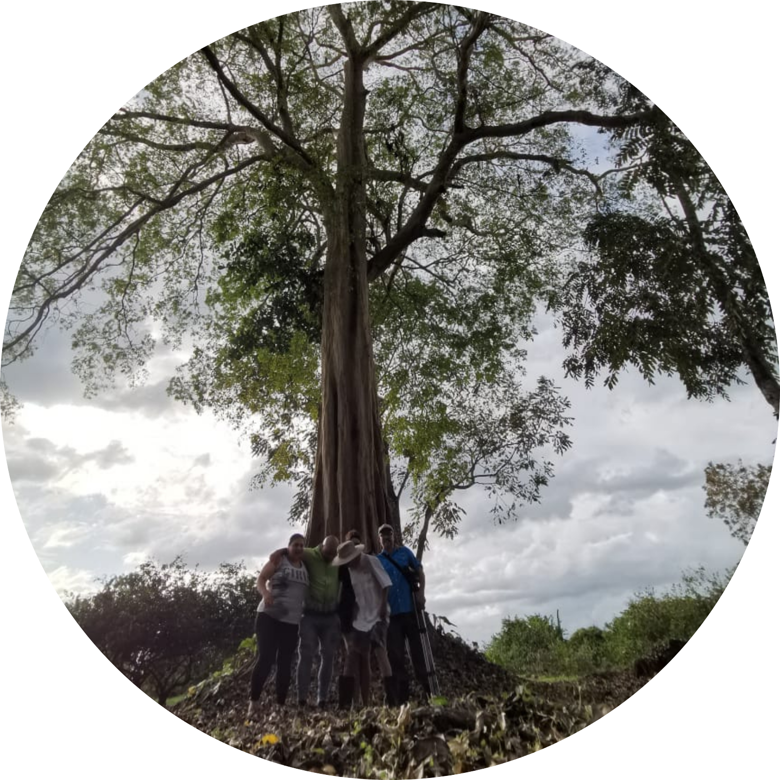 Ecoturismo